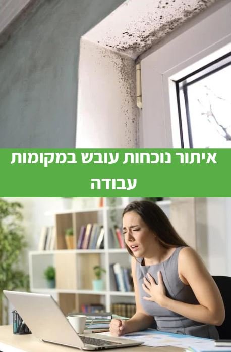 איתור נוכחות עובש במקומות עבודה
