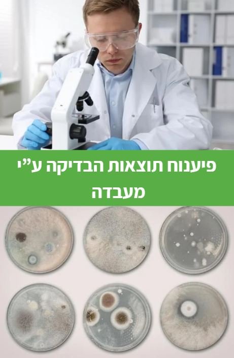פיענוח תוצאות הבדיקה ע''י מעבדה